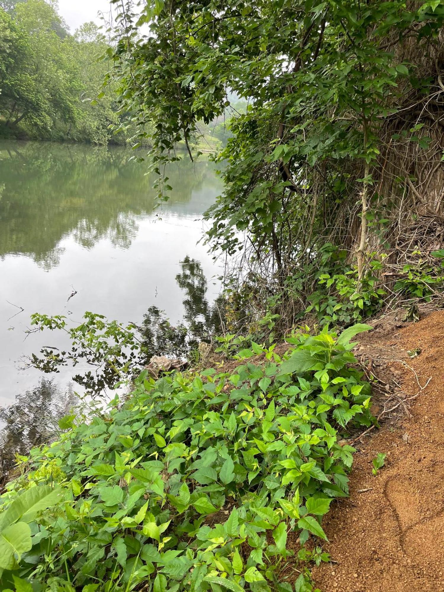 Pet Friendly Tiny House Rental With New Access To Guadalupe River Nbtx New Braunfels Εξωτερικό φωτογραφία