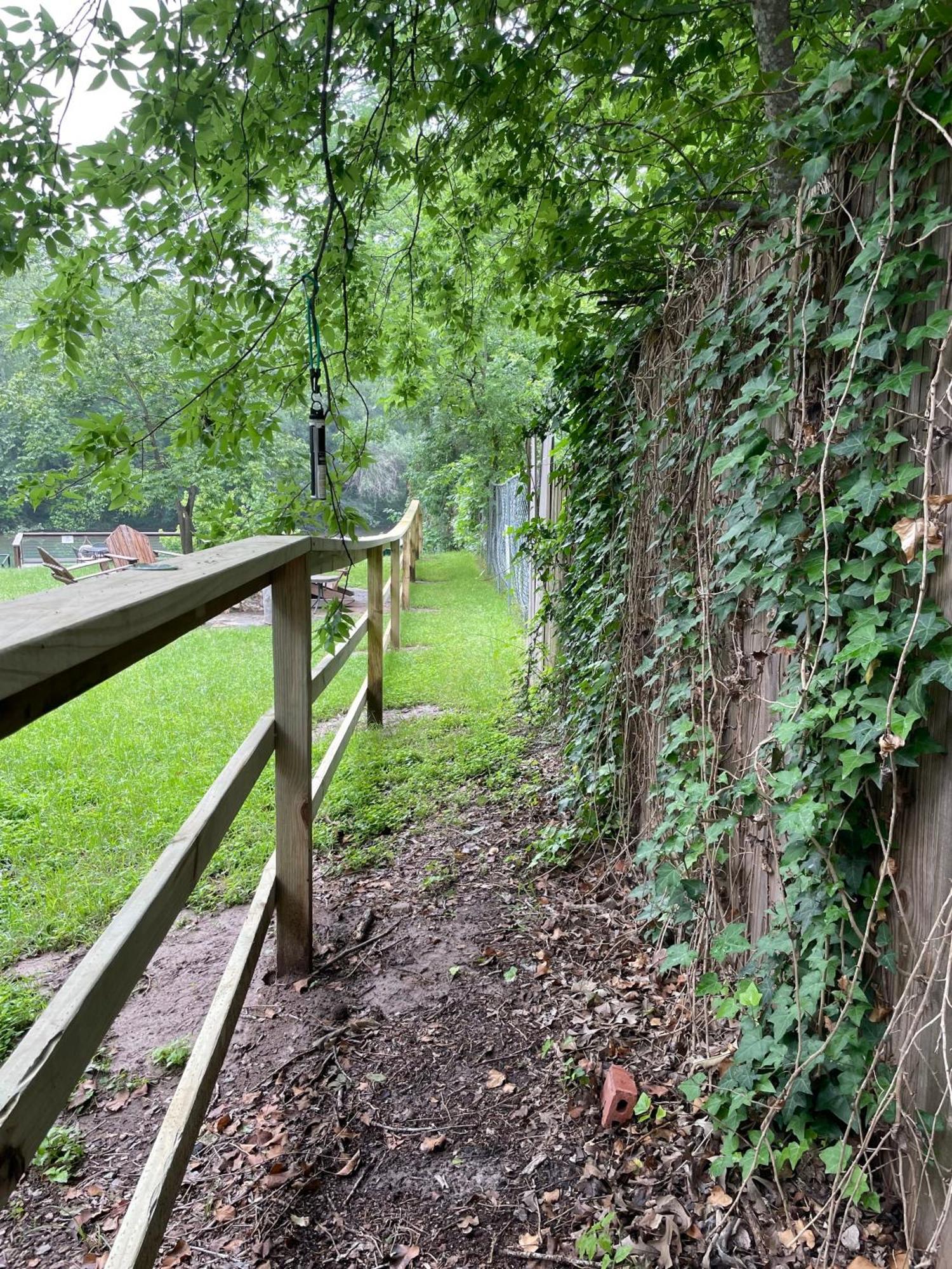 Pet Friendly Tiny House Rental With New Access To Guadalupe River Nbtx New Braunfels Εξωτερικό φωτογραφία