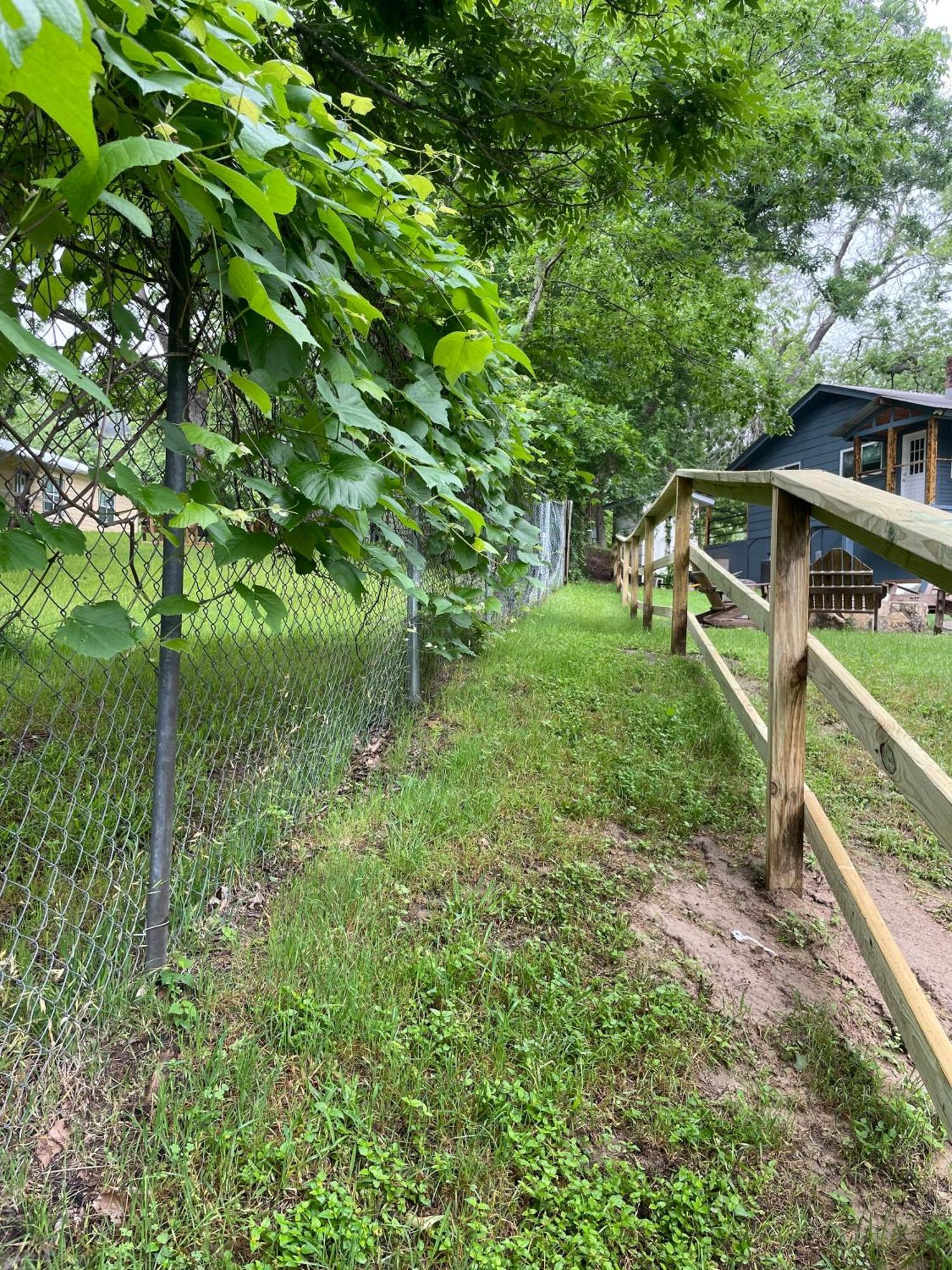 Pet Friendly Tiny House Rental With New Access To Guadalupe River Nbtx New Braunfels Εξωτερικό φωτογραφία